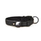 Premium Tracker Holder Dog Collar